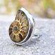 Ammonite Fossil Gemstone 925 Sterling Silver Ring Jewelry Size 10.75 D-06