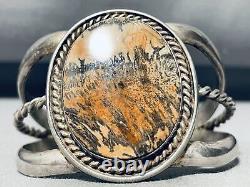 Painted Desert Vintage Navajo Sterling Silver Petrified Wood Bracelet