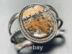 Painted Desert Vintage Navajo Sterling Silver Petrified Wood Bracelet