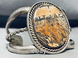 Painted Desert Vintage Navajo Sterling Silver Petrified Wood Bracelet