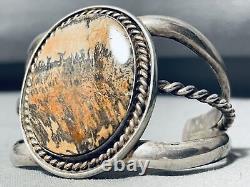 Painted Desert Vintage Navajo Sterling Silver Petrified Wood Bracelet