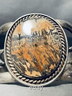 Painted Desert Vintage Navajo Sterling Silver Petrified Wood Bracelet