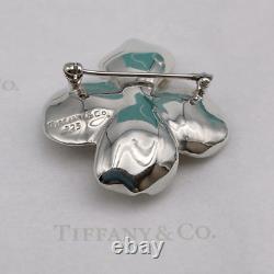 Tiffany & Co. Dogwood Brooch Pin Flower Sterling Silver Vintage 925 With Pouch