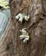 Vintage Taxco Sterling Silver Elephant Clip-on Earrings, Abstract Design, 5.1g